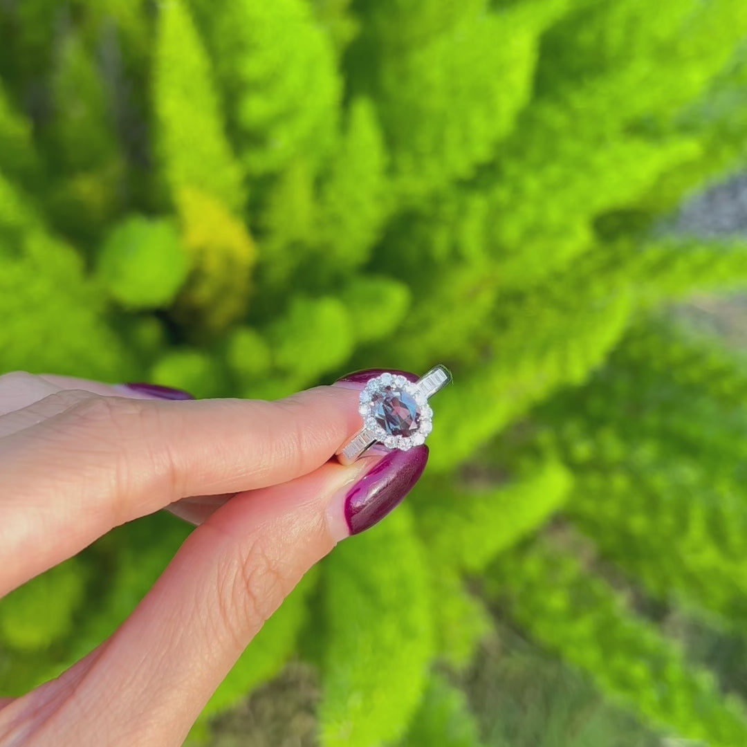 Regent Halo Lab-Grown Alexandrite Ring