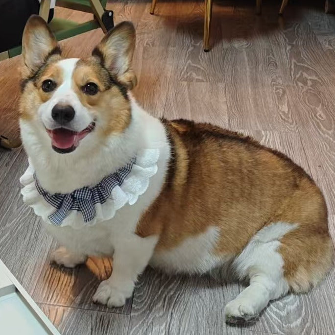 Chuyi: photo from the owner