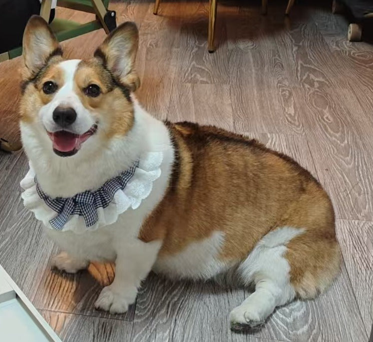 Chuyi: photo from the owner