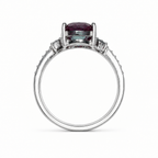 HC-FH-RING-AXL-27 new main 3