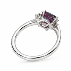 HC-FH-RING-AXL-20 new main 2