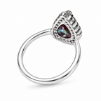 HC-FH-RING-AXL-50 new main 2
