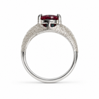 HC-FH-RING-AXL-25 new main 3