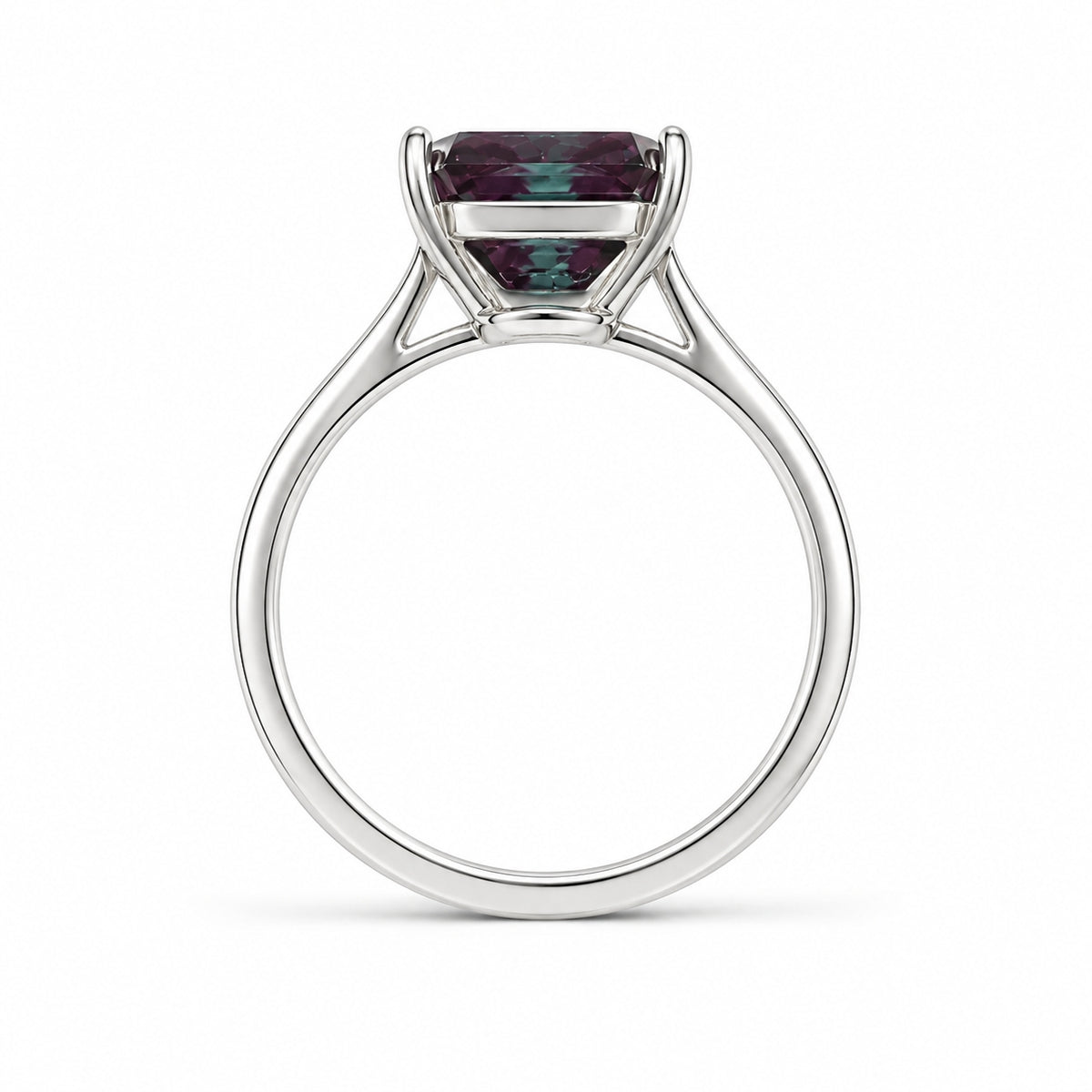 HC-FH-RING-AXL-01 new main 3