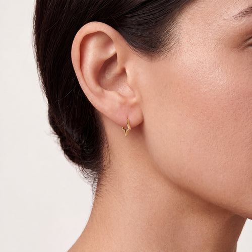 Crystal Star Titanium Hoop Earrings - image 2