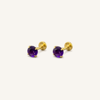 Titanium Amethyst Flat Back Stud Earrings