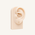 Titanium Rose Quartz Flat Back Stud Earrings