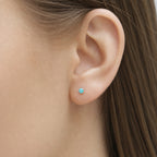 Titanium Amazonite Flat Back Stud Earrings