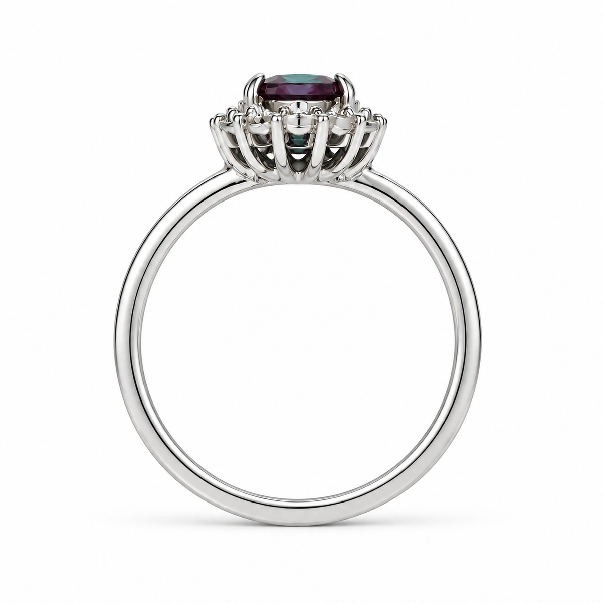 HC-FH-RING-AXL-31 new main 3