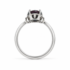 HC-FH-RING-AXL-48 new main 3