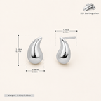 Sterling Silver Mini Chili Pepper Stud Earrings - Platinum / Small