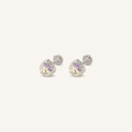 Titanium Gradient Pink Crystal Flat Back Stud Earrings