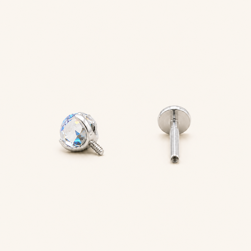 Titanium Gradient Purple Blue Crystal Flat Back Stud Earrings