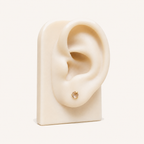 Titanium Light Gray Crystal Flat Back Stud Earrings