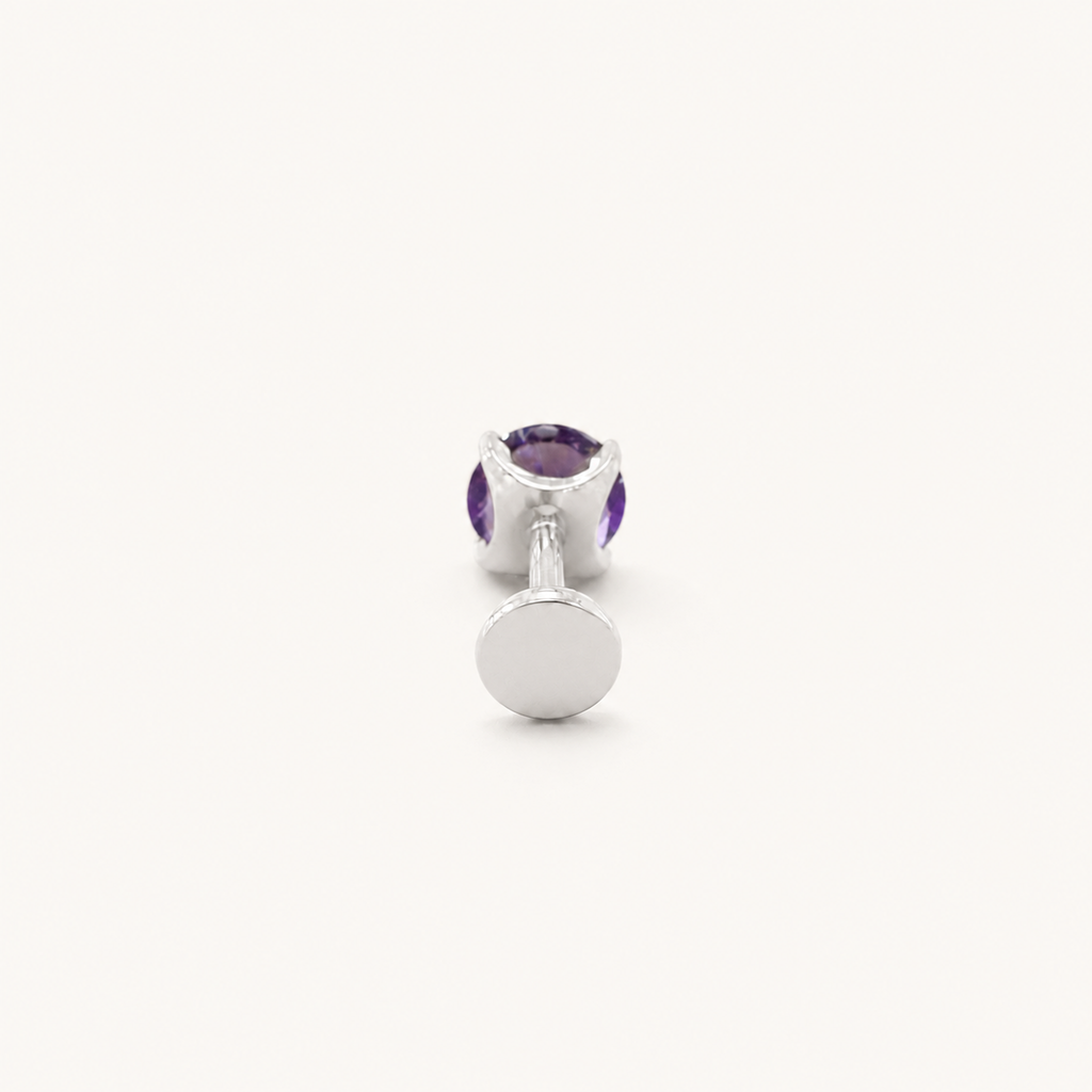 Titanium Amethyst Flat Back Stud Earrings