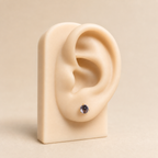 Titanium Rose Pink Crystal Flat Back Stud Earrings