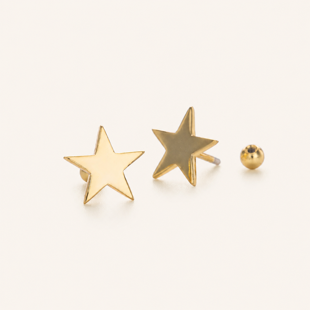 Sterling Silver Five-Point Star Flat Back Earrings detail view