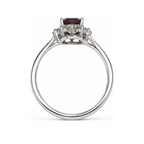 HC-FH-RING-AXL-46 new main 3