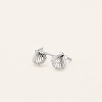 Sterling Silver Mini Shell Stud Earrings detail