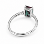 HC-FH-RING-AXL-10 new main 2