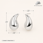 Sterling Silver Mini Chili Pepper Stud Earrings - Platinum / Large