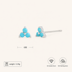 Sterling Silver Triangle Zirconia Stud Earrings - Platinum / Turquoise