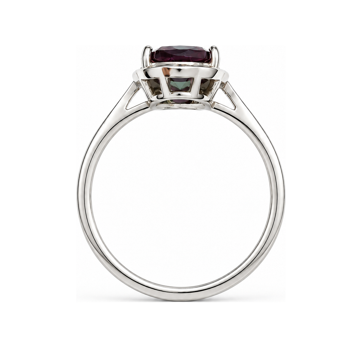HC-FH-RING-AXL-32 new main 3