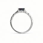 HC-FH-RING-AXL-12 new main 3