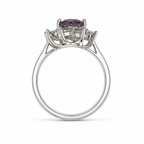 HC-FH-RING-AXL-33 new main 3