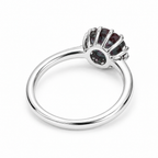 HC-FH-RING-AXL-18 new main 2