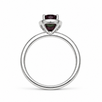 HC-FH-RING-AXL-42 new main 3