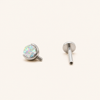 Titanium Gradient Red Crystal Flat Back Stud Earrings