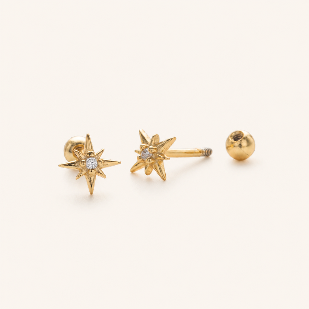 Sterling Silver Eight-Point Star Zirconia Flat Back Earrings detail view