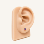 Titanium Gradient Purple Blue Crystal Flat Back Stud Earrings
